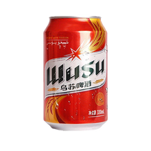 Load image into Gallery viewer, Wusu Beer Can 24x330ml
